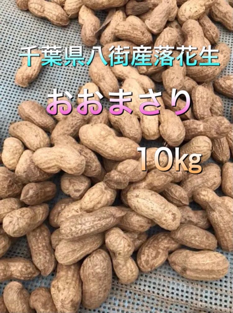 特価商品農家直送千葉県産落花生10kg 野菜