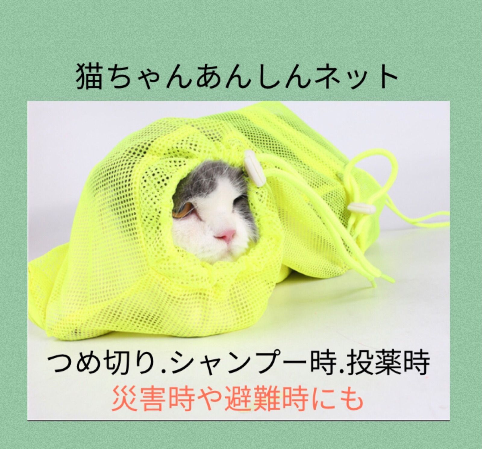 ⭐️ルー 猫ちゃんバングル⭐️ $3❌
