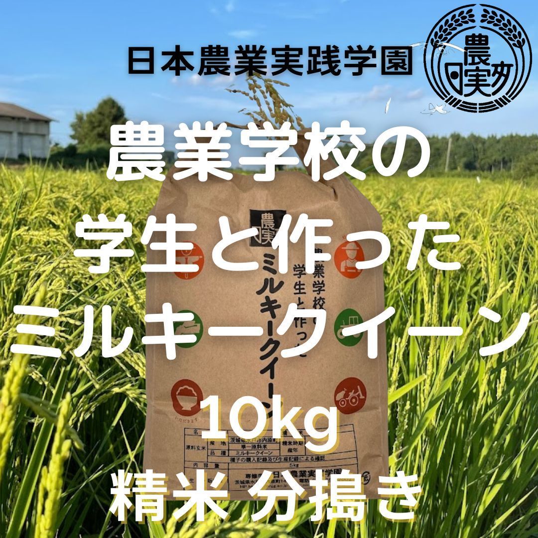 農業学校の【ミルキークイーン】10kg白米/7分搗き/2分搗き【令和5年産新米】販売再開9月下旬予定学生と作ったお米10キロ