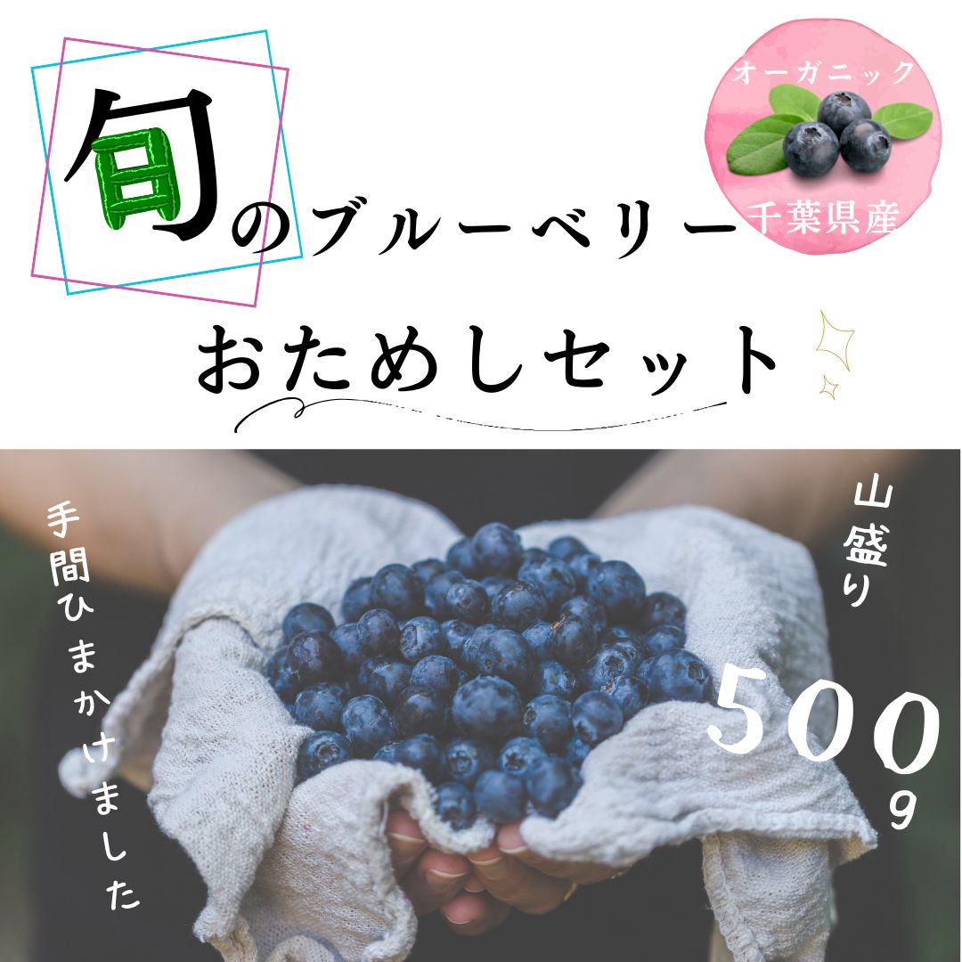 ☆令和7年 生ブルーベリー☆農薬不使用 3㌔ 子供服★24時間以内発送 農薬不使用、国産冷凍ブルーベリー3kg 【税込、送料別】 | トム