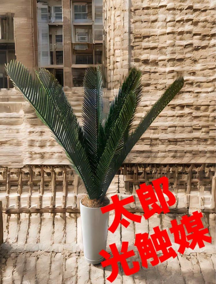 光触媒 人工観葉植物 ウォールグリーン フェイクグリーン 胡蝶蘭8550