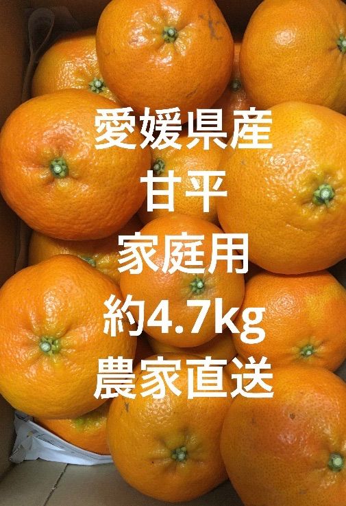 愛媛県産　メルカリ　約4.７kg　農家直送　甘平　Ｋファーム　家庭用　大小混合