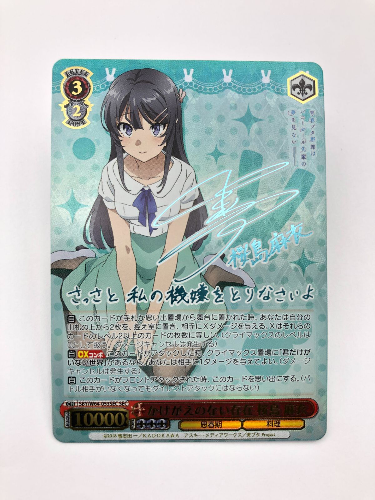 かけがえのない存在 桜島 麻衣 SEC PSA10-