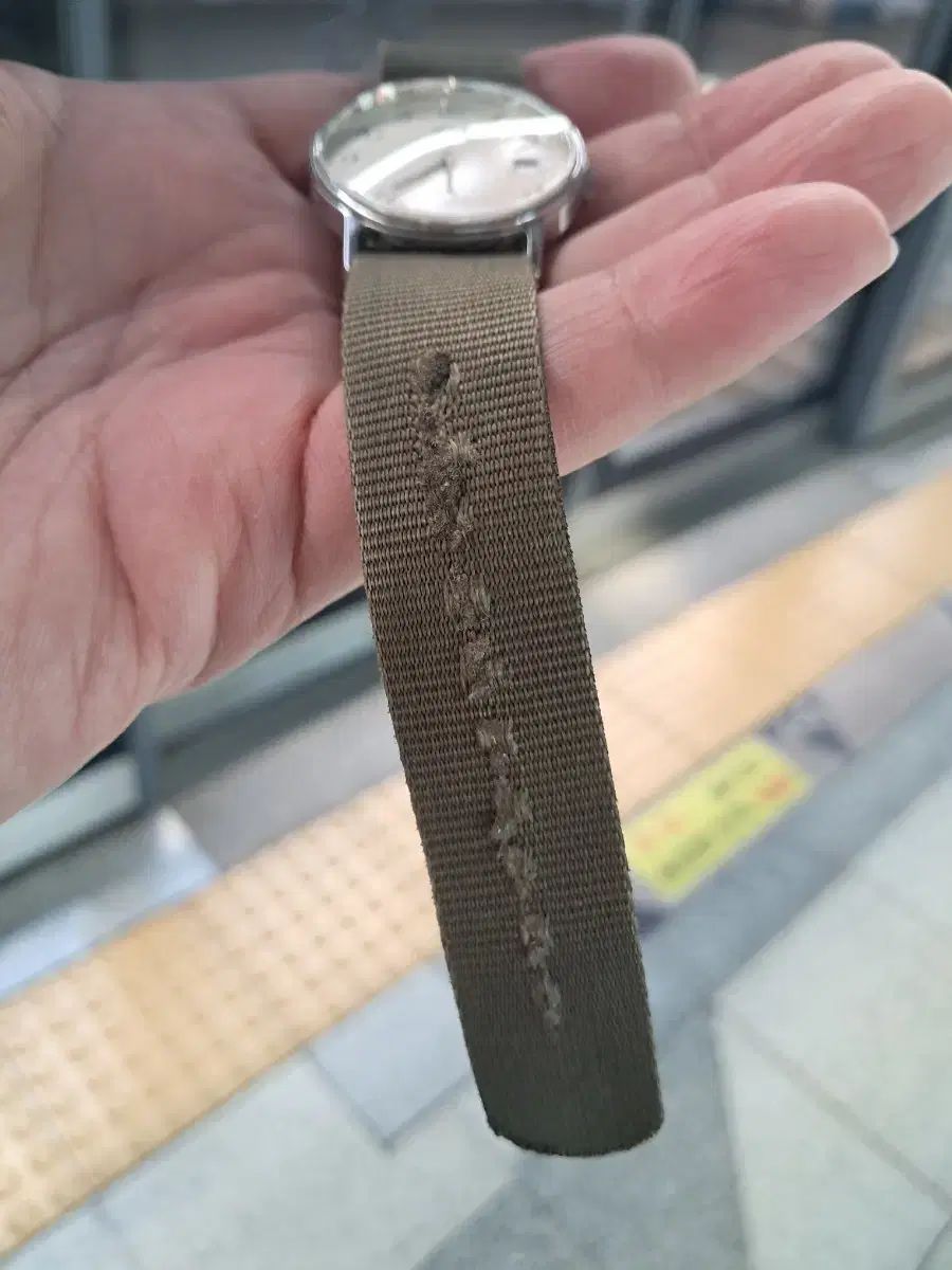 タイメックス TIMEX