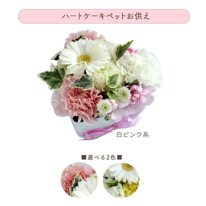 ペット