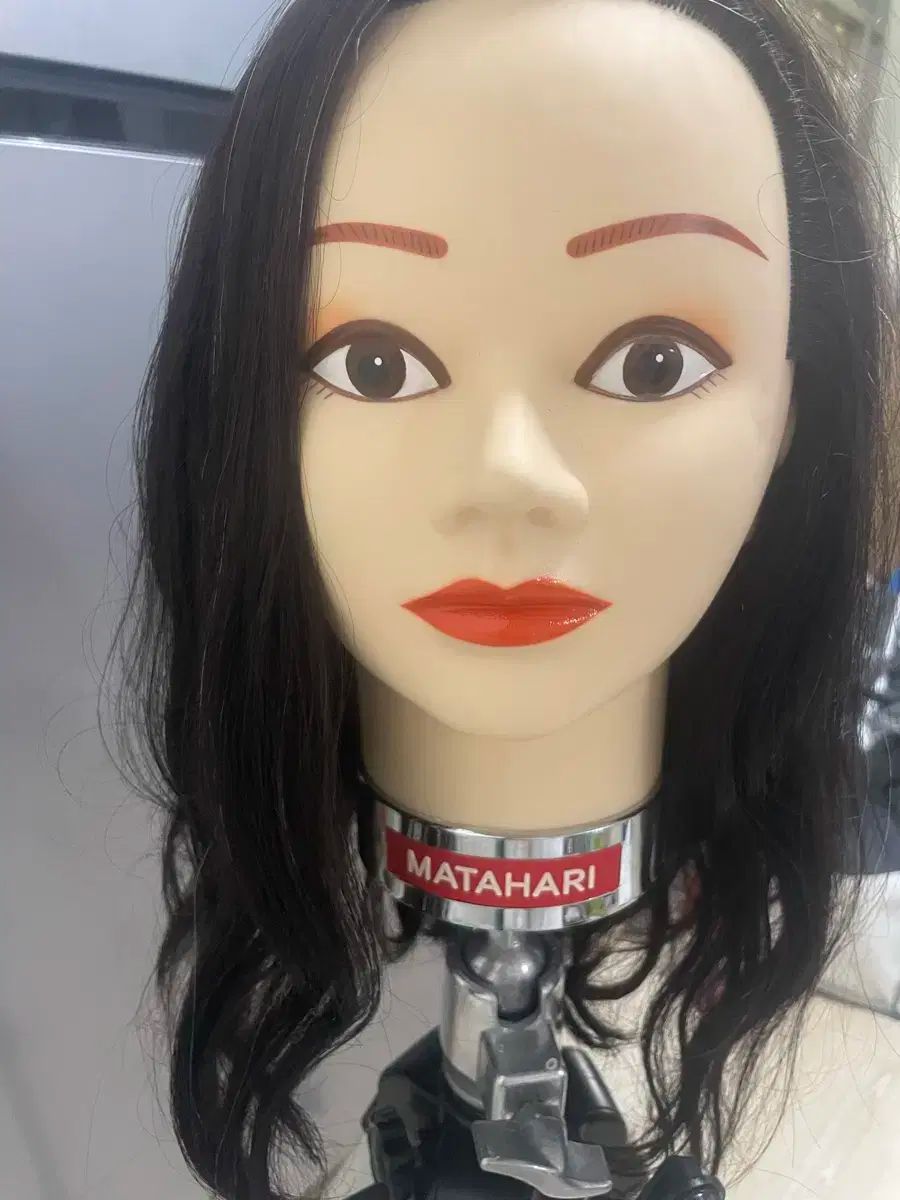 マタハリ 通知用