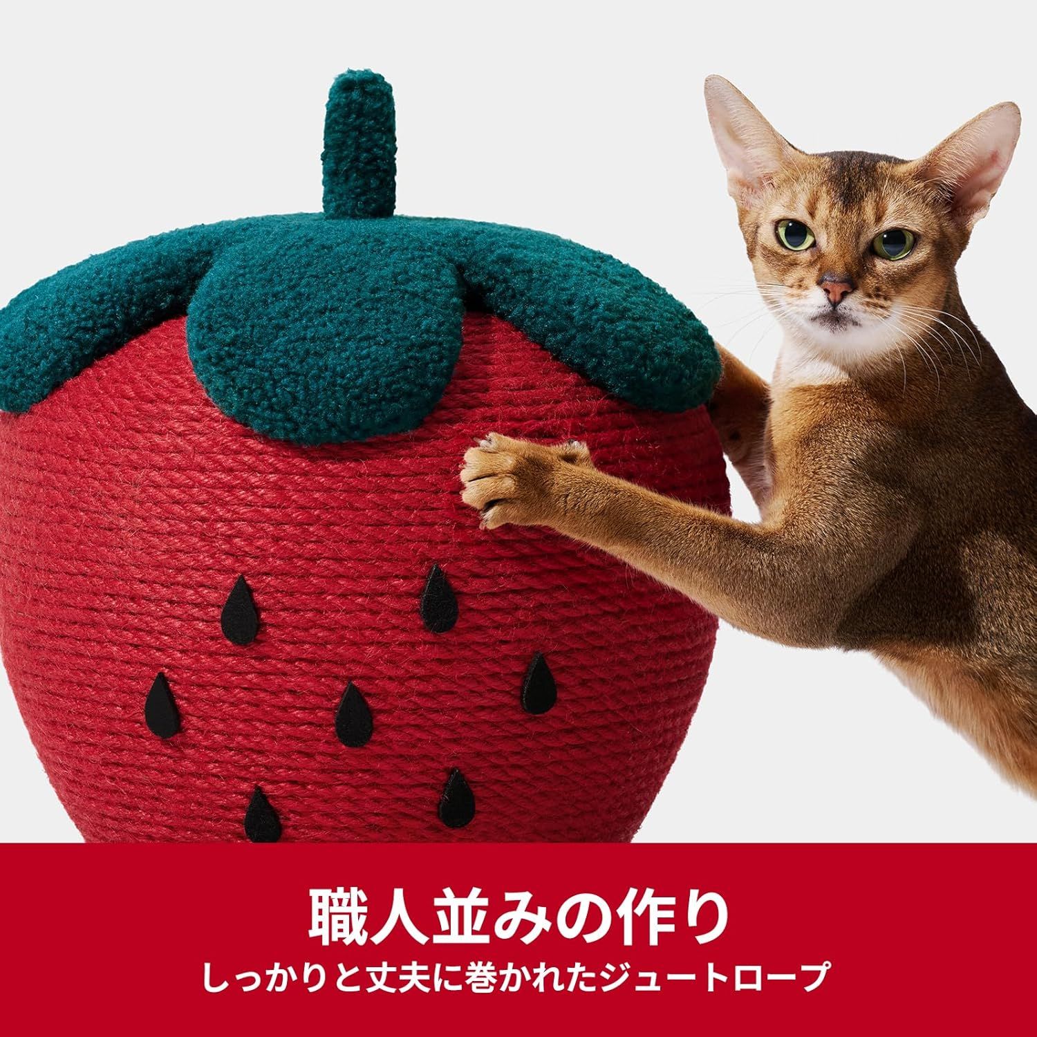 苺 爪とぎ