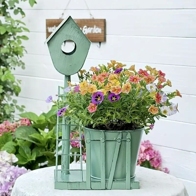 ♥️01 札落ち エケベリアsp／多肉植物 ♥️01 札落ち エケベリアsp／多肉植物 | その他多肉植物