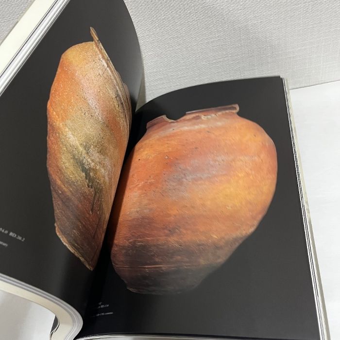 信楽古壺大成　MIHO MUSEUM編　1999年初版 信楽 壺中の天 図録 MIHO MUSEUM 1999年 古信楽 図録 【公式通販】