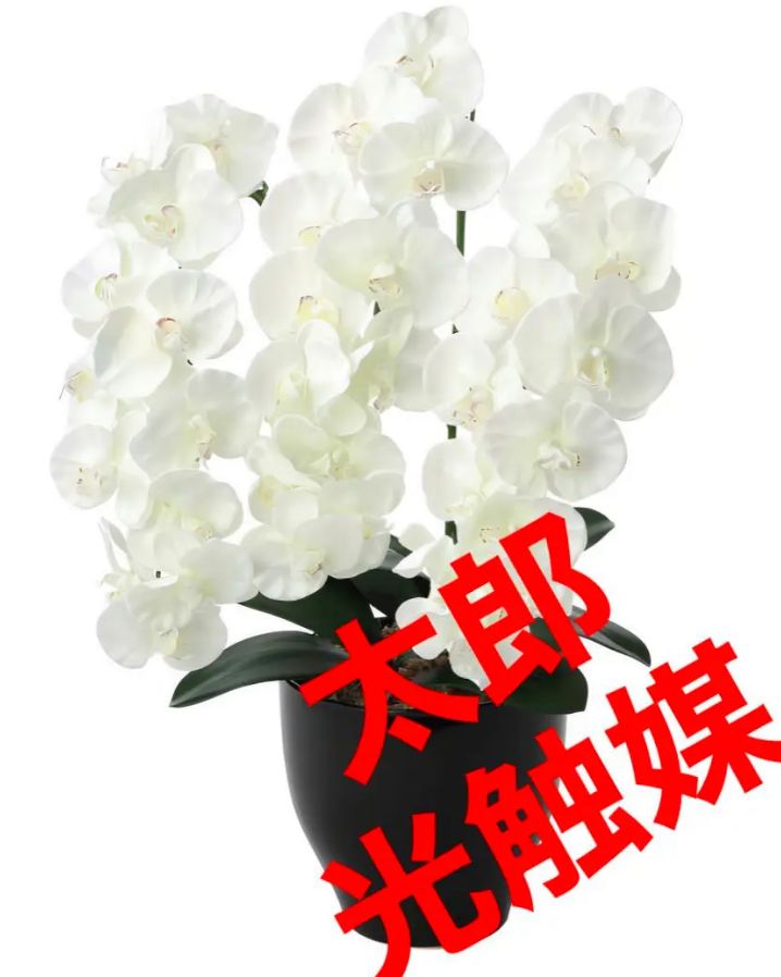 光触媒　人工観葉植物　ウォールグリーン　フェイクグリーン　エバーフレッシュ180 光触媒 人工観葉植物 ウォールグリーン フェイクグリーン