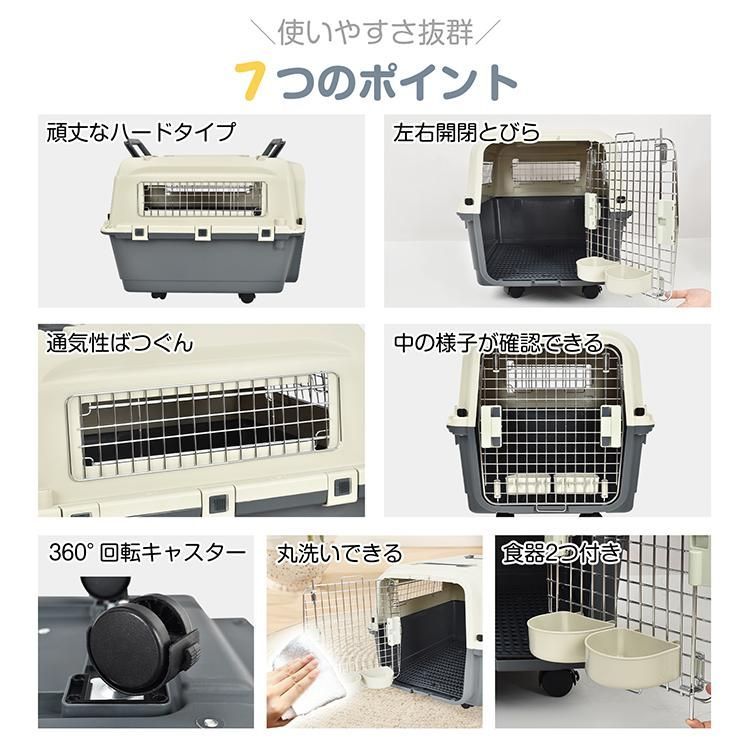 お出かけ 飛行機