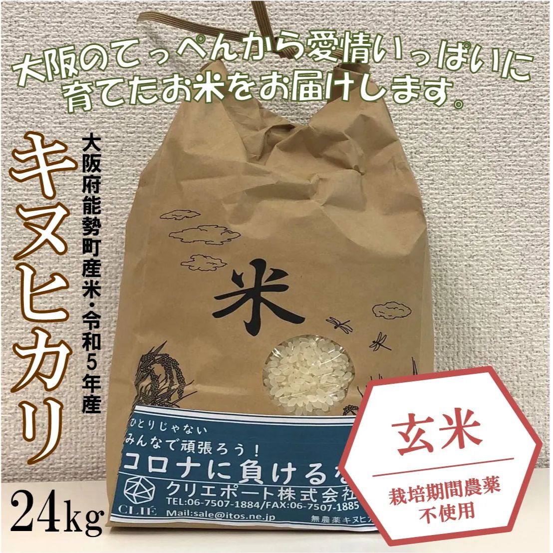 【令和5年産/栽培期間農薬不使用】大阪のてっぺんキヌヒカリ玄米24kg 大阪府能勢産