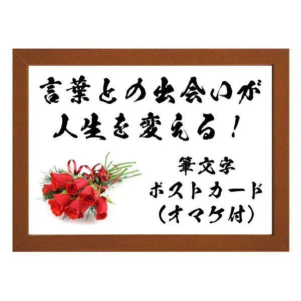 ☆仏教詩人！坂村真民の言葉：心に響く名言額・格言額【夜は必ず明け、光は必ず射してくる。念ずれば 必ず花は咲き、道は必ず開いてくる。この必然の祈りに生きよう】（Ａ３額付） - メルカリ