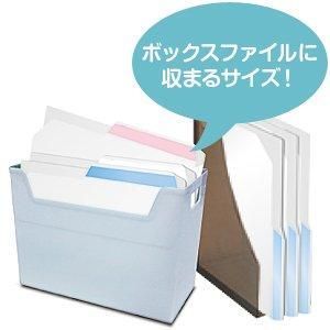 ナカバヤシ どっさり個別ホルダーA4 10枚 ホワイト CH-4131W-10