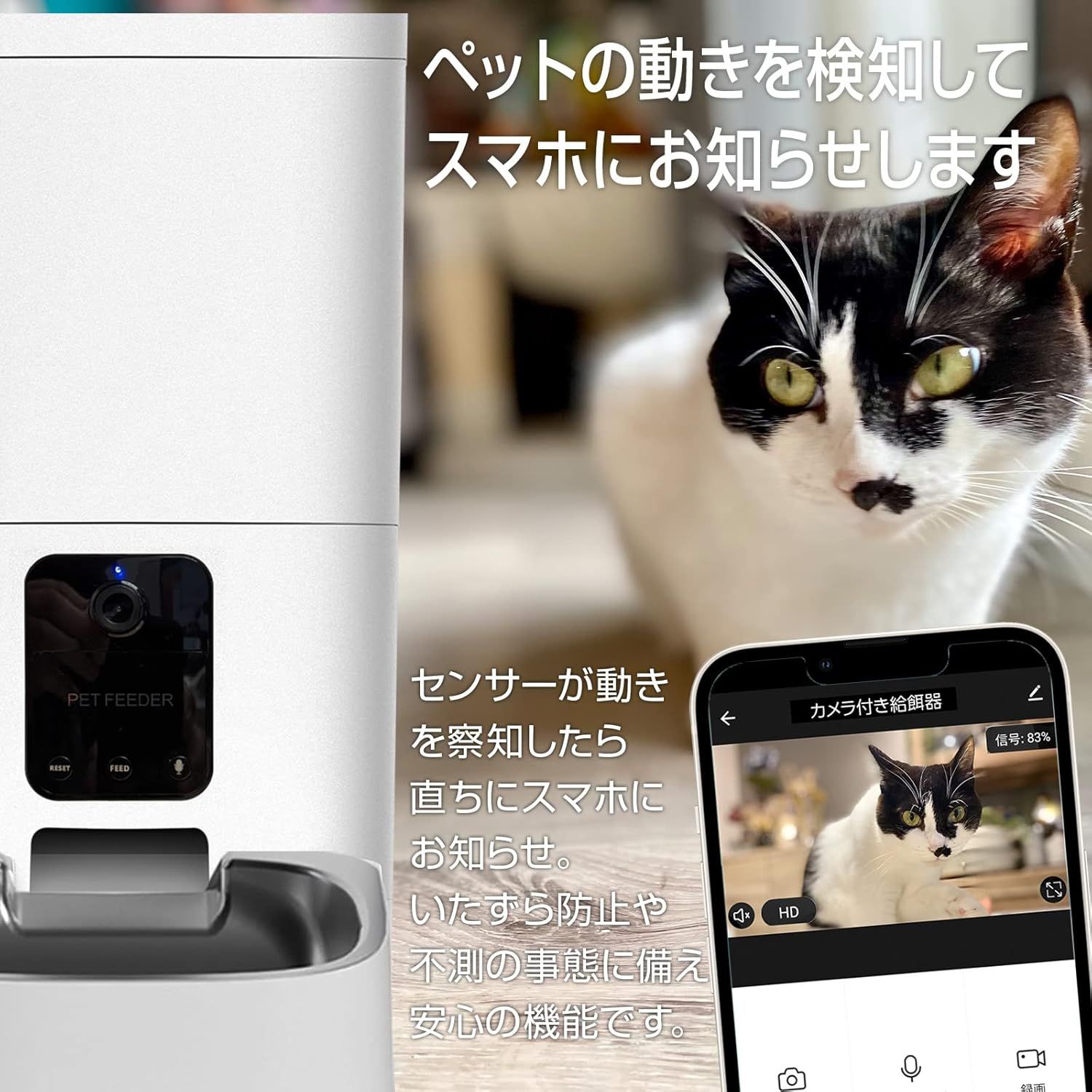 カメラ付き自動給餌器 猫