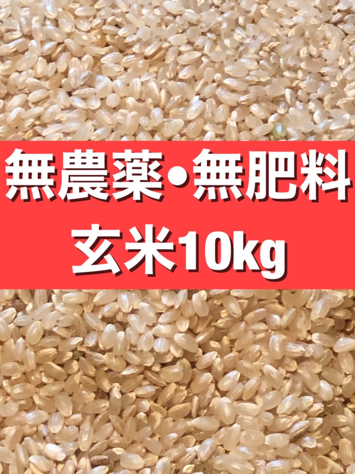 玄米10kg　無肥料　農薬不使用　令和５年産　メルカリ