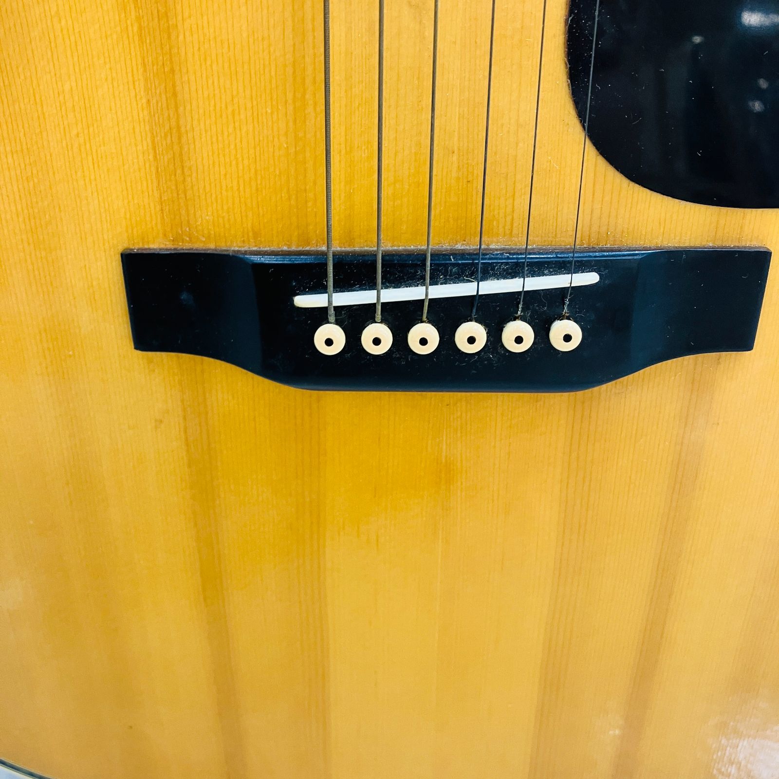 A【アコースティックギター】Tokai CE-200 Cat