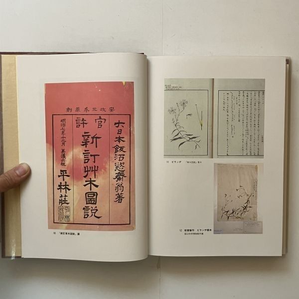 【I/I4】飯沼慾斎　飯沼慾齋生誕二百年記念誌編集委員会　昭和59年発行　蘭学医学/本草/植物学 らんまん」の牧野富太郎博士もリスペクト！ 幕末の博物学者・飯沼慾斎