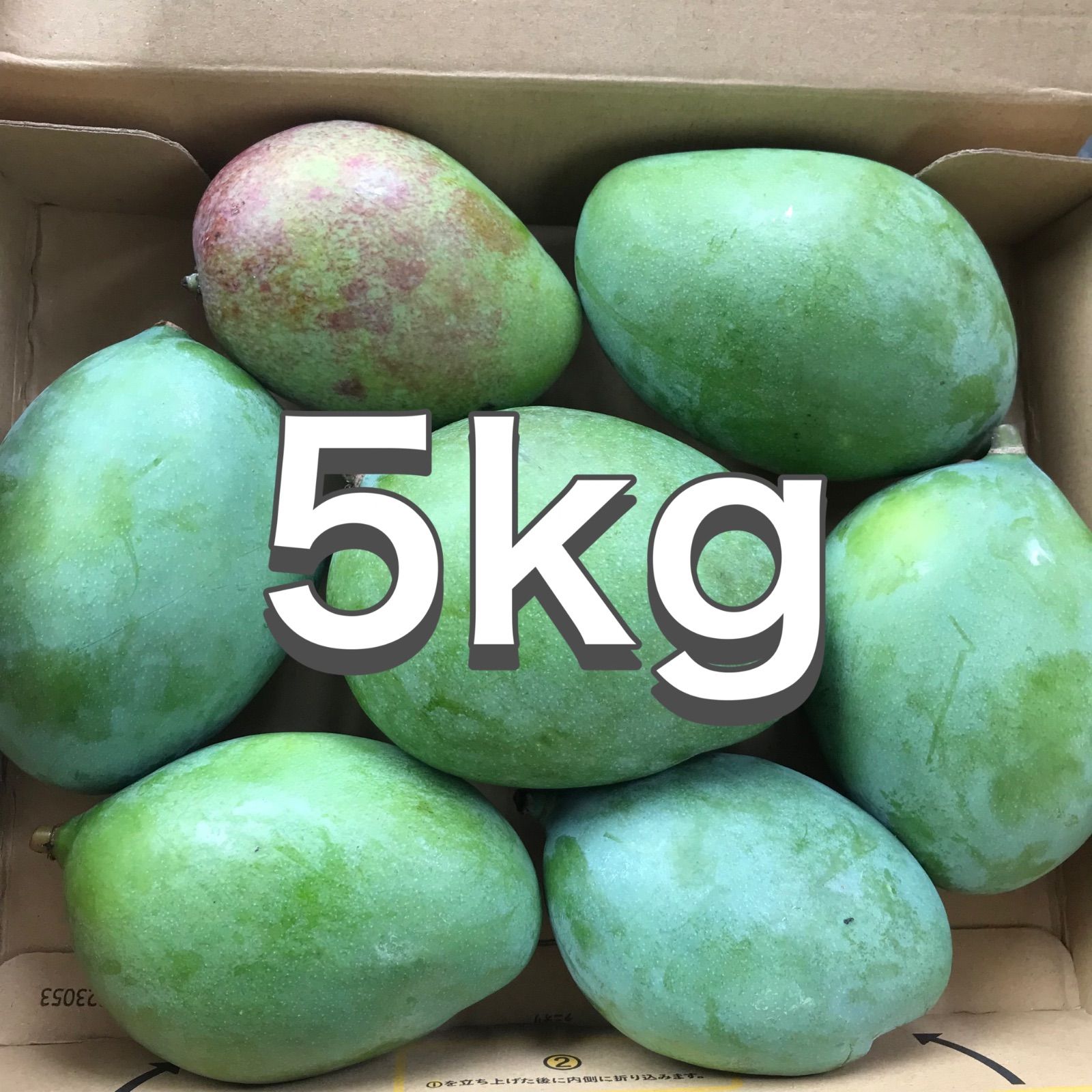 摘果マンゴー　5kg 沖縄県産 摘果マンゴー 青マンゴー グリーンマンゴー5kgクール便