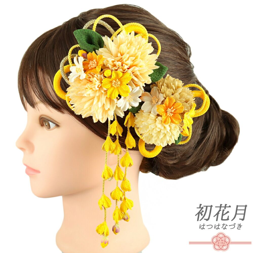 ディズニー Sing Along！DVD 全12巻セット DWE Sing Along! DVD 1-12巻