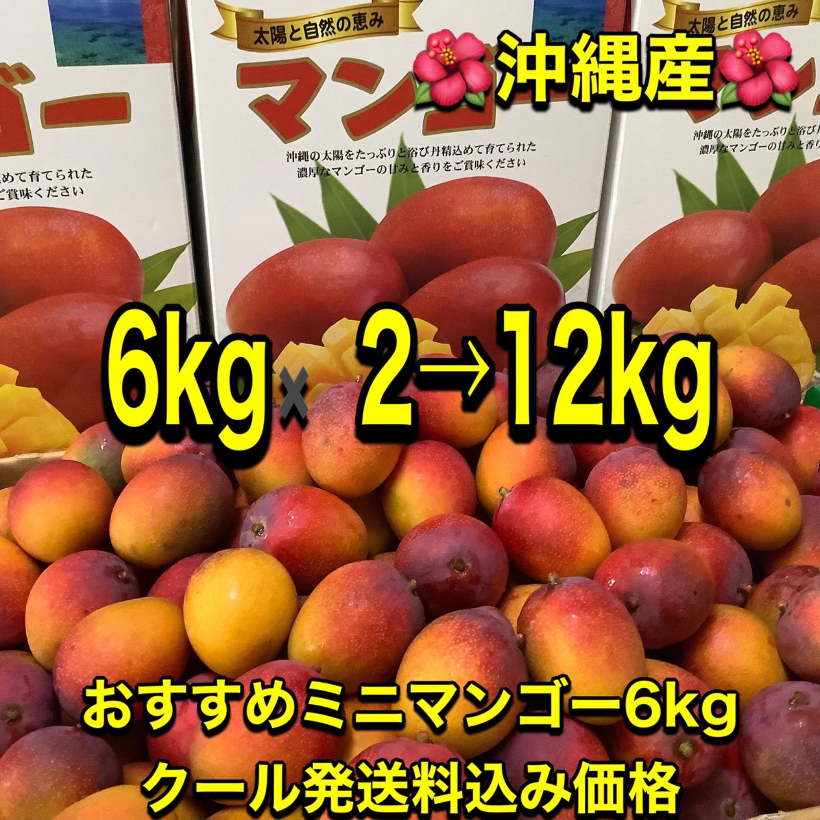 沖縄産 おすすめミニマンゴー 6kg(クール発送) 沖縄産おすすめミニマンゴー12kg(クール発送) - メルカリ