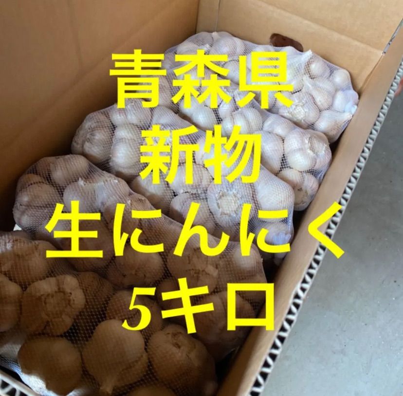 新物 生にんにく5Kg M 青森県産