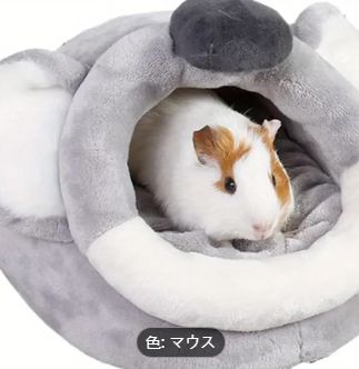 マウス
