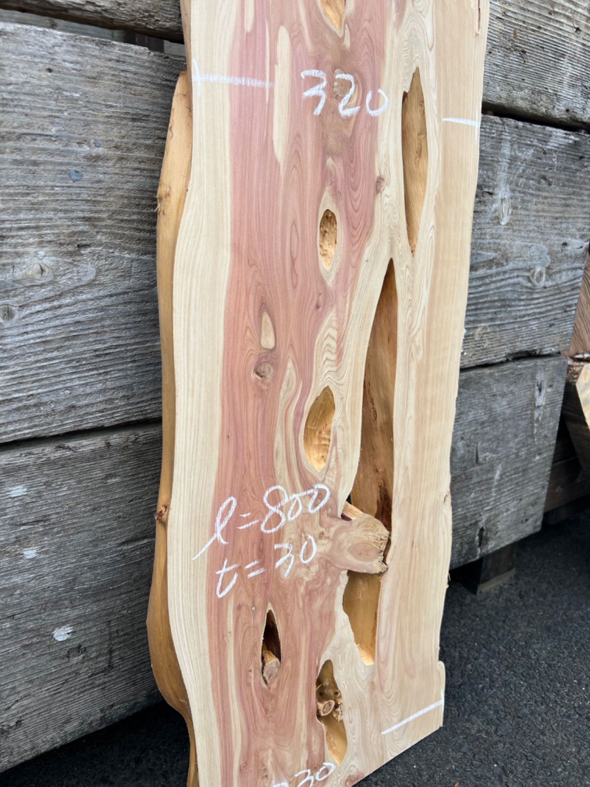 カイズカイブキ 一枚板 無垢材 DIY ウッドプレート