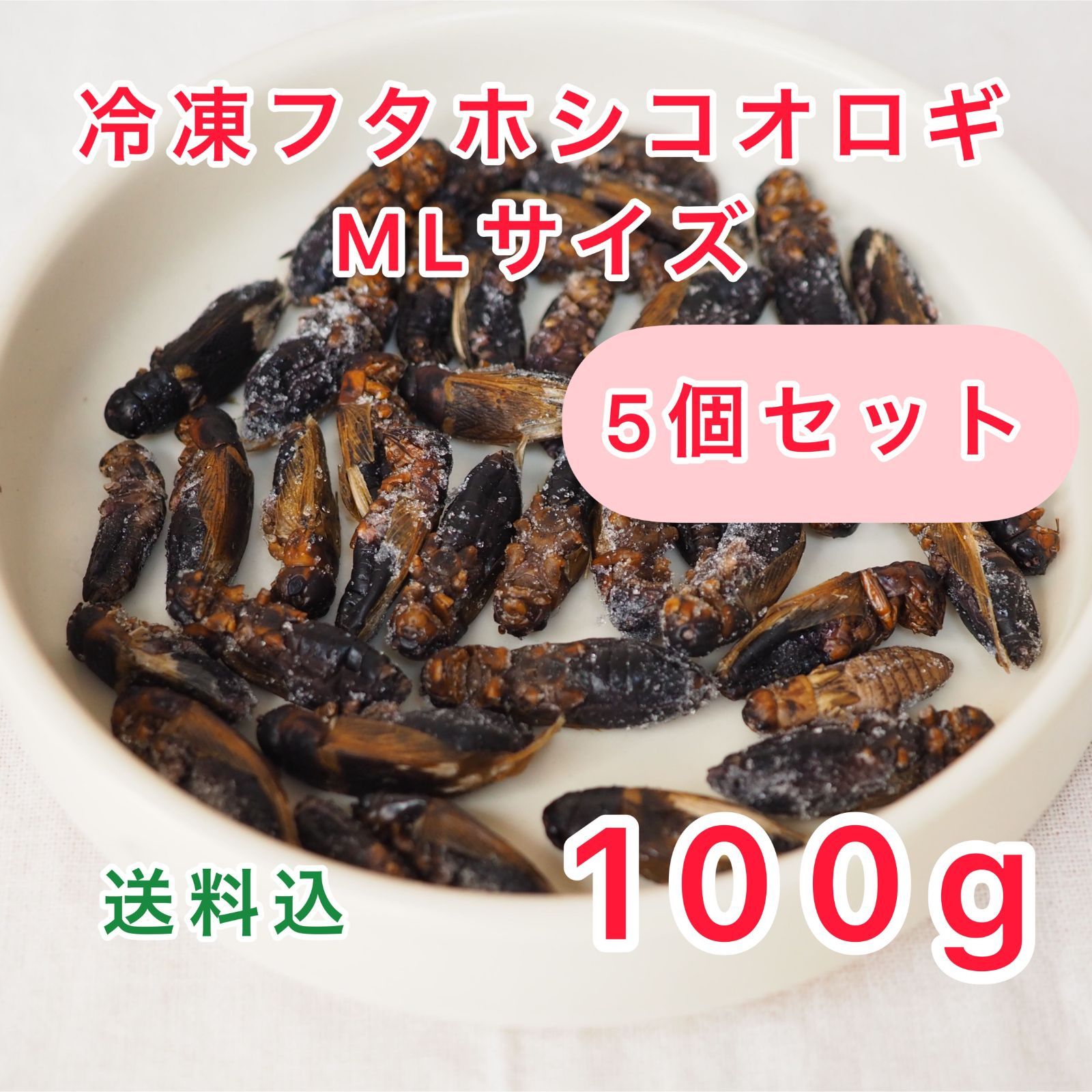 食いつき抜群 冷凍コオロギMLサイズ（フタホシコオロギ） 5個セット