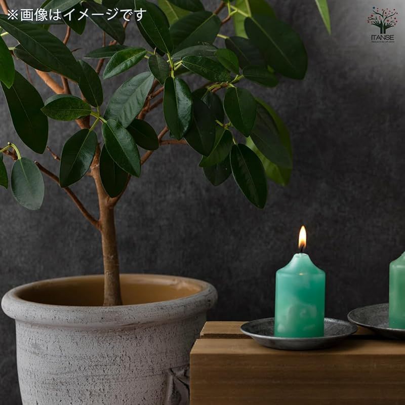 厚みと光沢があり