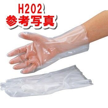H201