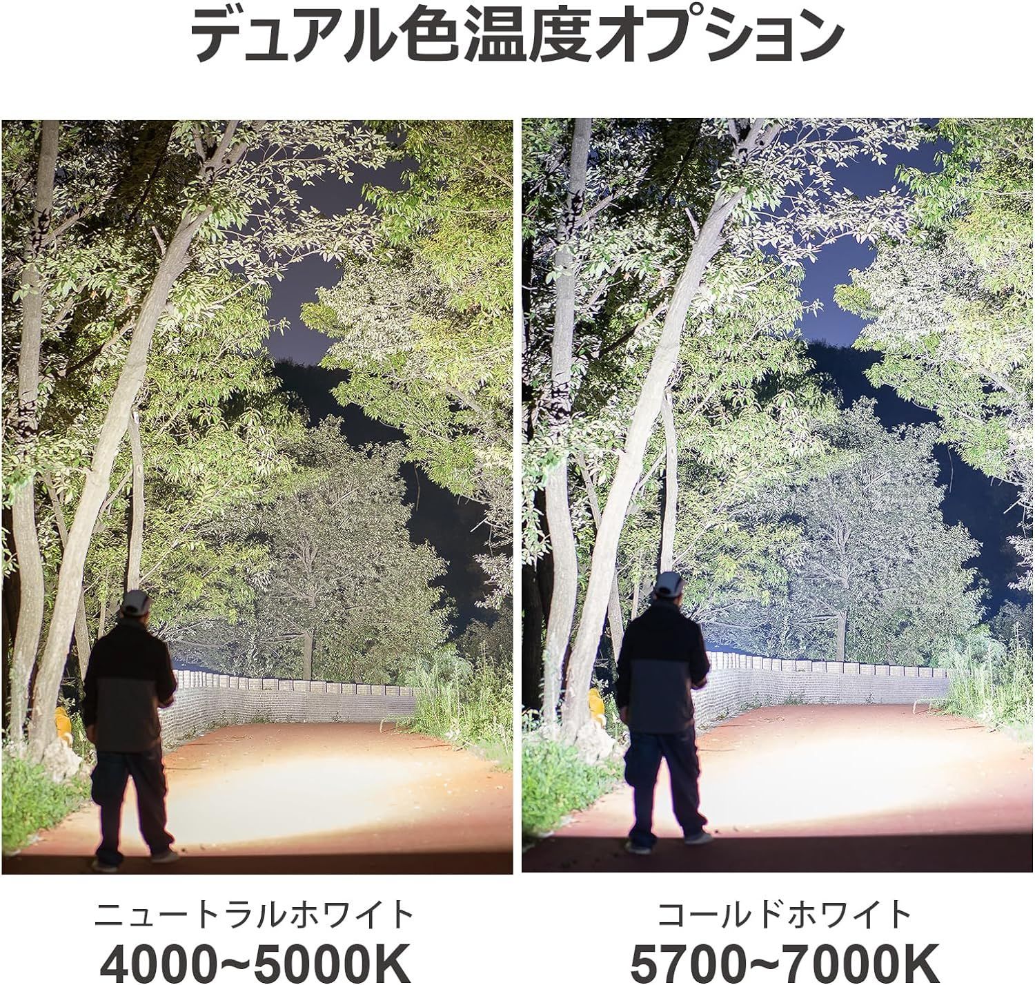 登山 夜釣り