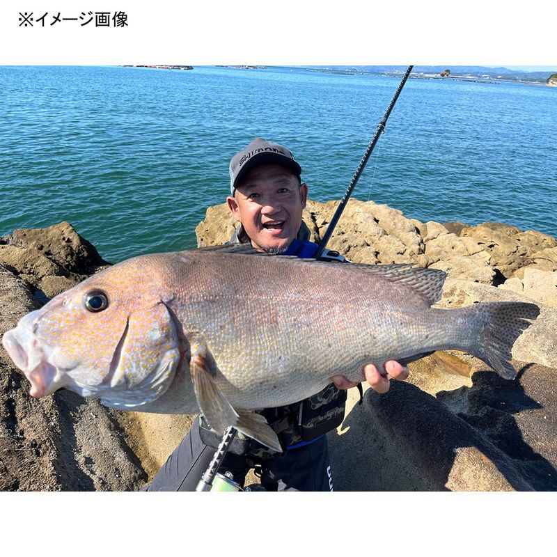 サーフランダー