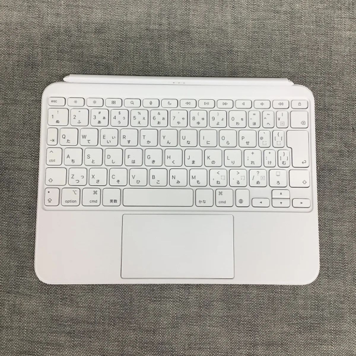 Apple iPad