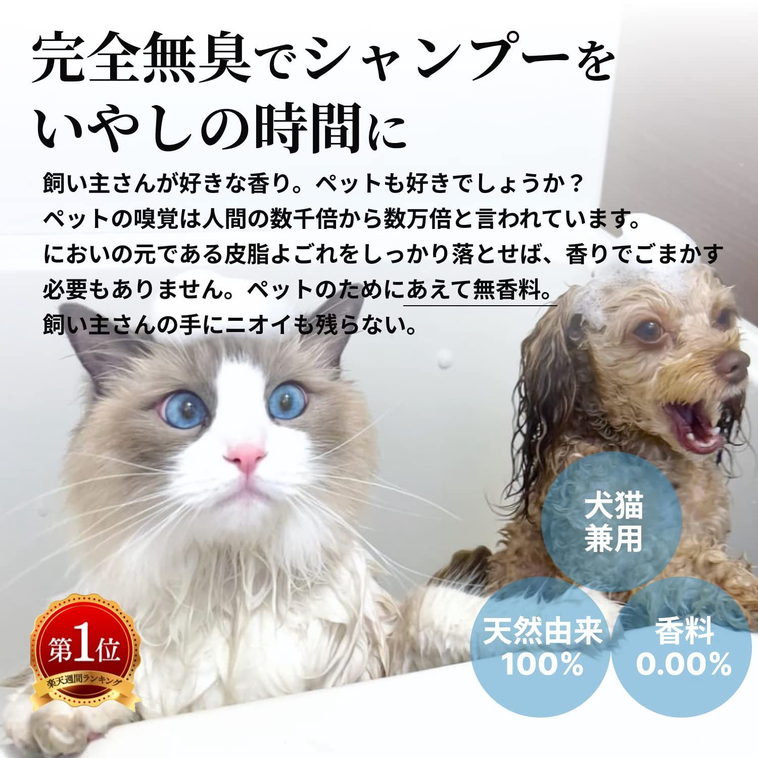 新着商品