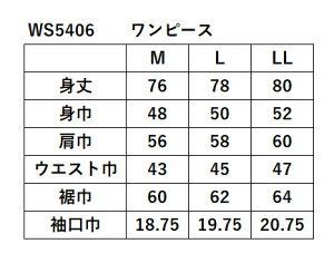 制電