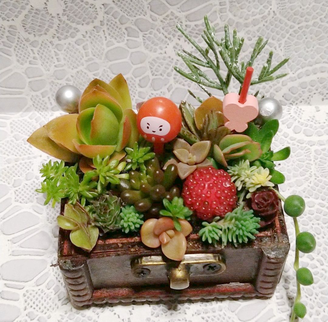 多肉植物☆寄せ植え☆そのまま飾れる☆だるま☆お正月 - メルカリ