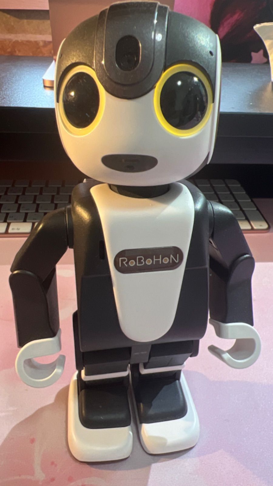 RoBoHoN ロボホン SR-03M-T キャリーケース及びロボユニ服付き-