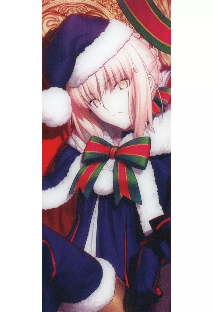 中古】キャラカード ライダー/アルトリア・ペンドラゴン〔サンタオルタ