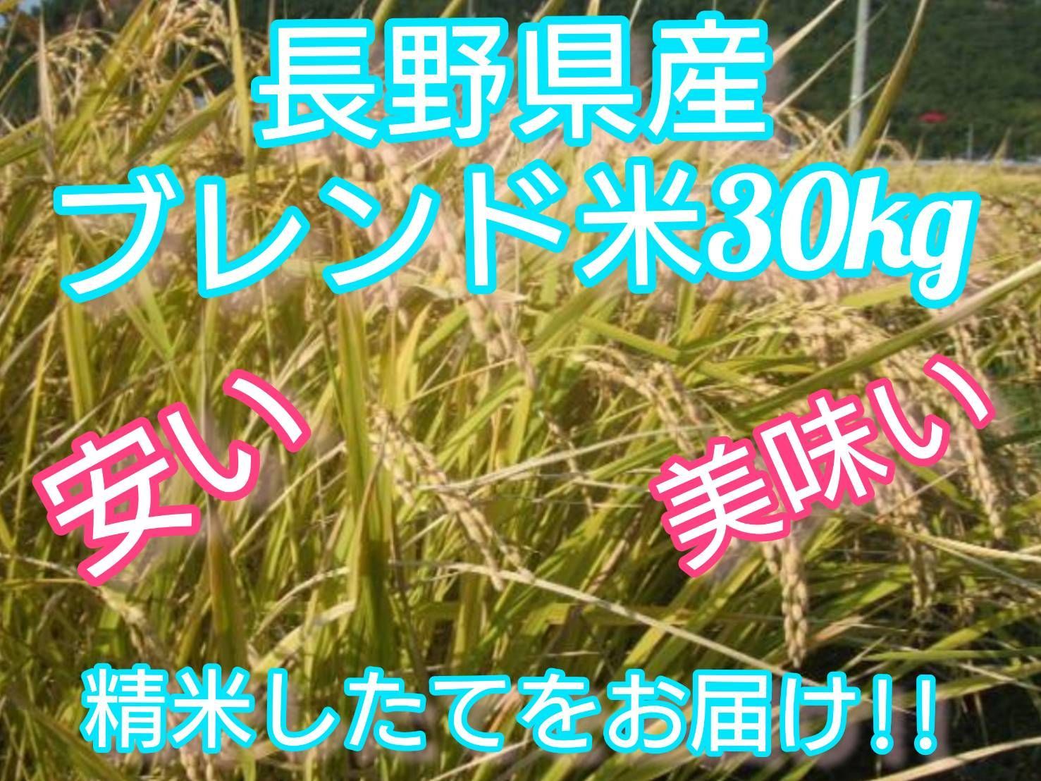 白米】長野県産ブレンド米30キロ（10キロ×3袋）長野産米100％ 精米した