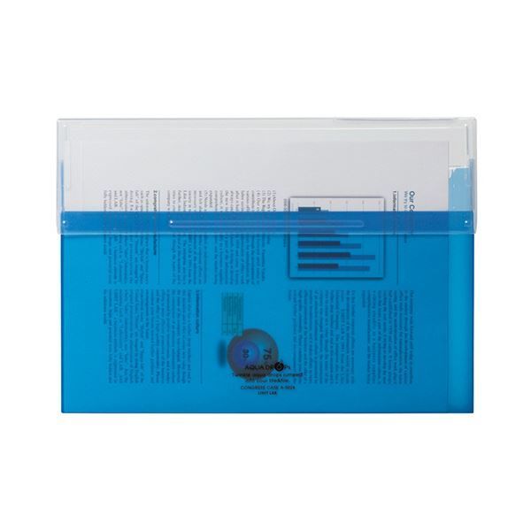まとめ リヒトラブ AQUA DROPsコングレスケース A4 150枚収容 黄 A-5035-5 1個 ×30セット