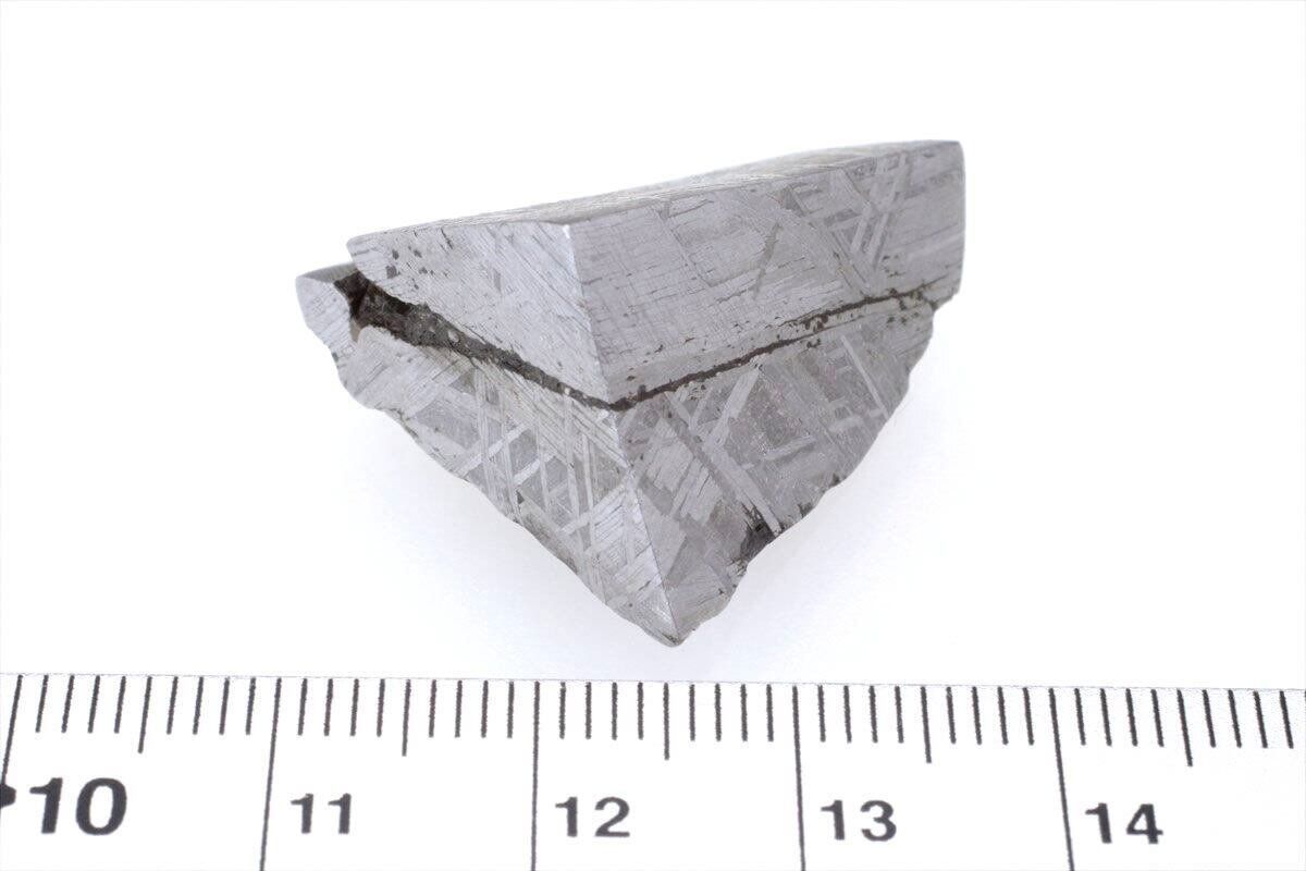 ムオニナルスタ ムオニオナルスタ 20g スライス カット 標本 隕石 