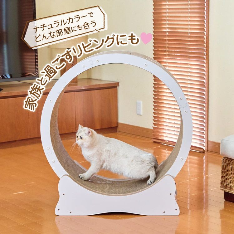 ダンボール