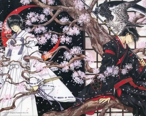雑貨 皇昴流＆桜塚星史郎 キャンバスアート くじ引き堂 CLAMP X-エックス- オンラインくじ A-2賞