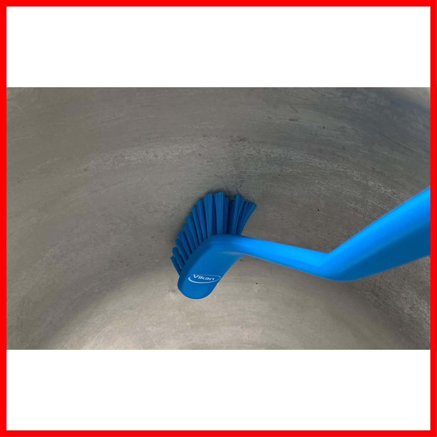 4405 ヴァイカンディッシュブラシ