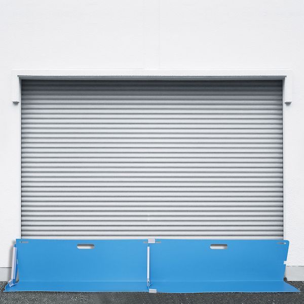 2入 沖縄離島販売不可