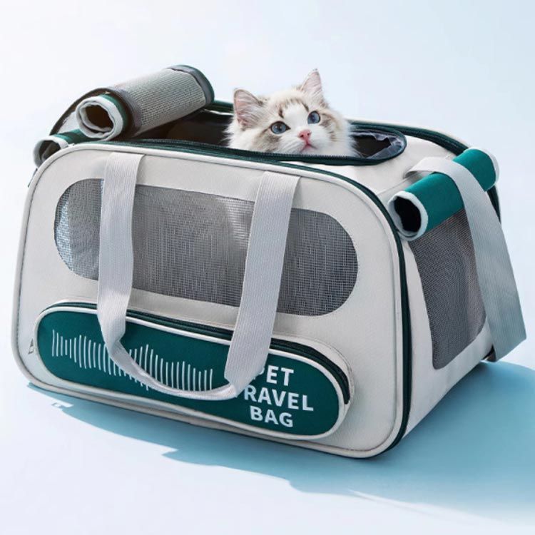 【新品未使用品】犬猫 キャリー ペットコンテナ　折りたたみコンパクト　ご機嫌移動 hcgooday_1331080