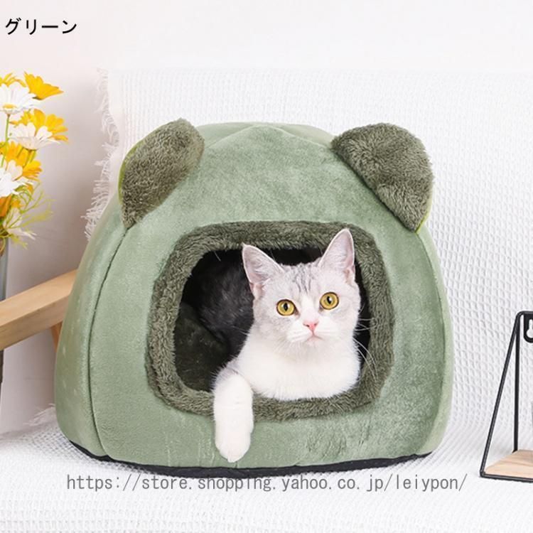 ハウス ドーム型