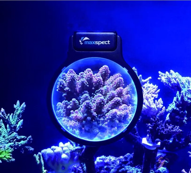 2025年最新】maxspect ledの人気アイテム - メルカリ