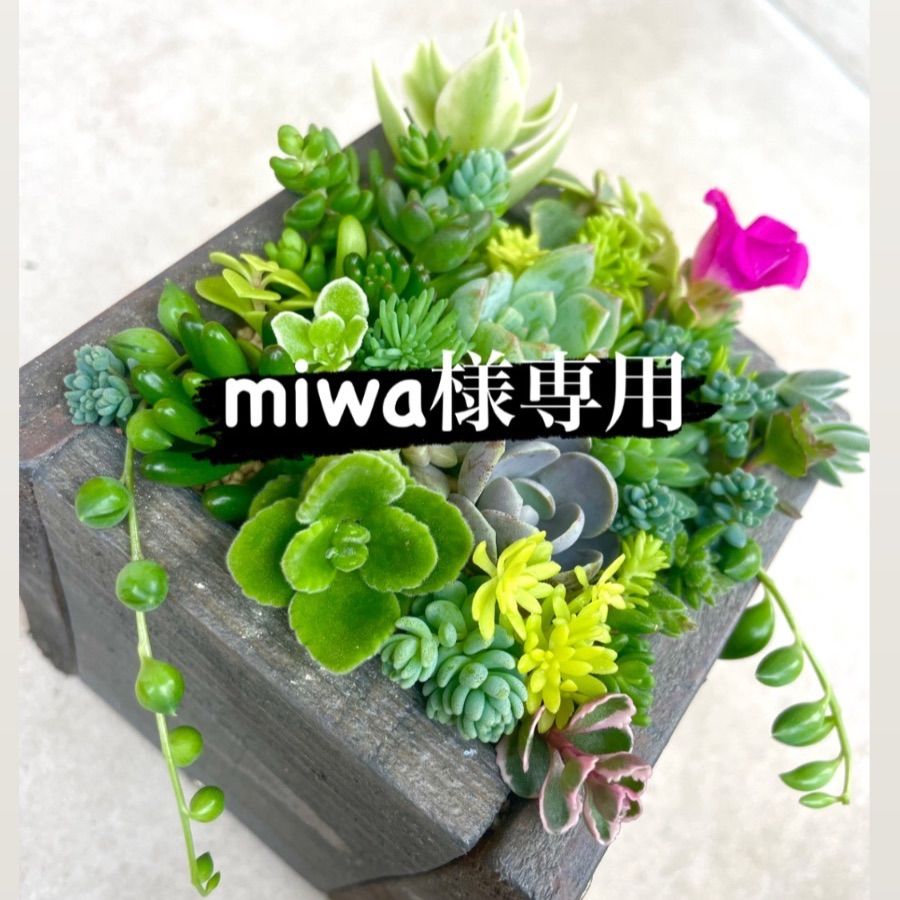 miwa様専用 - メルカリ